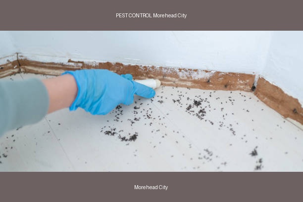 PEST CONTROL Morehead City